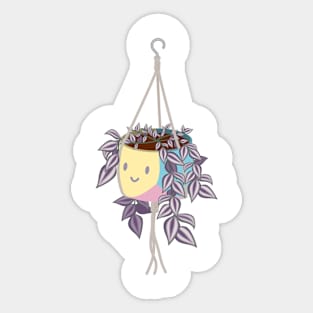 tradscantia plant in pansexual pride pot Sticker